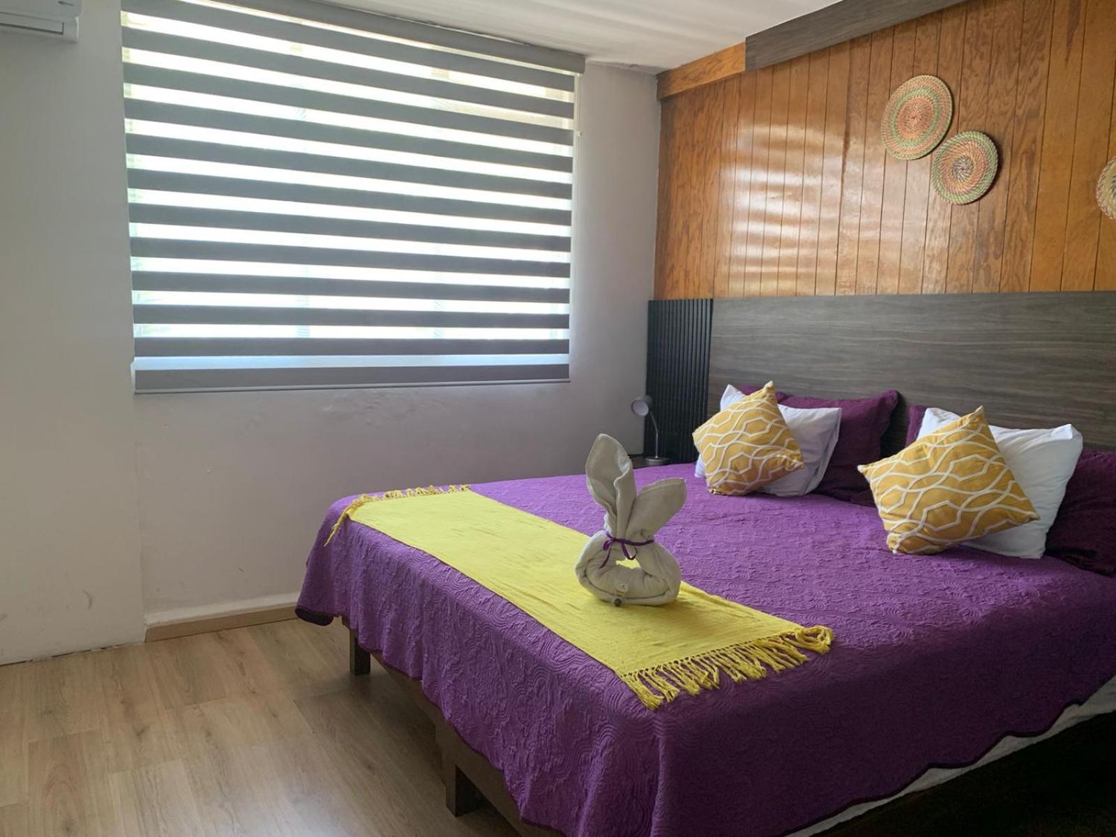 Pino Apartment Oaxaca Bagian luar foto