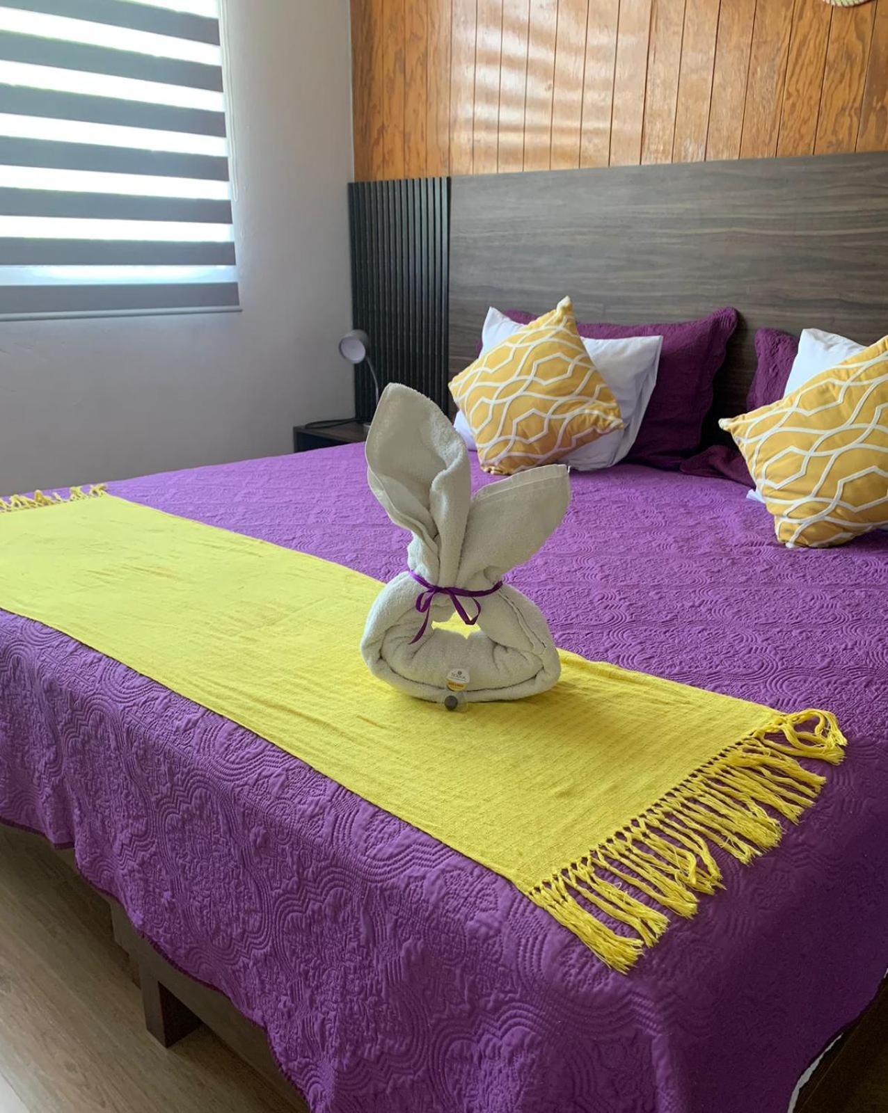 Pino Apartment Oaxaca Bagian luar foto