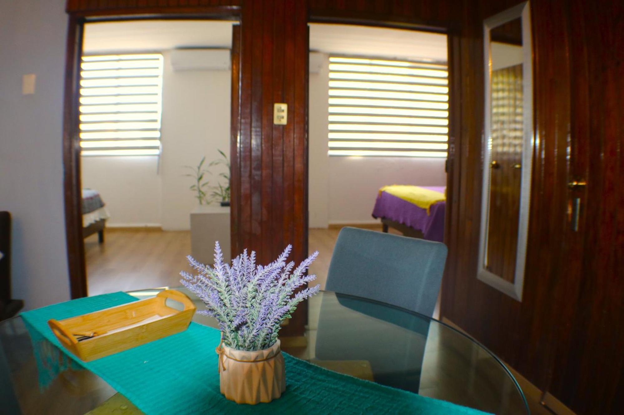 Pino Apartment Oaxaca Bagian luar foto